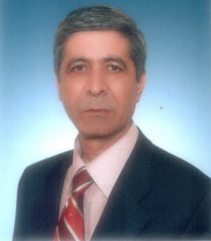 Rıfkı Bitikoğlu